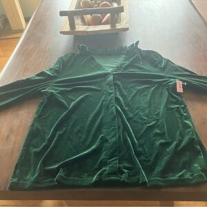 Green Casual Womens Notched Neckline Velvet Tee